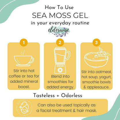 Elderwise Raw Sea Moss | Organic Seamoss Makes 20oz of Gel | Wildcrafted Golden Sea moss | Raw & Non GMO Certified | Sundried | Mineral and Vitamin Rich | Golden